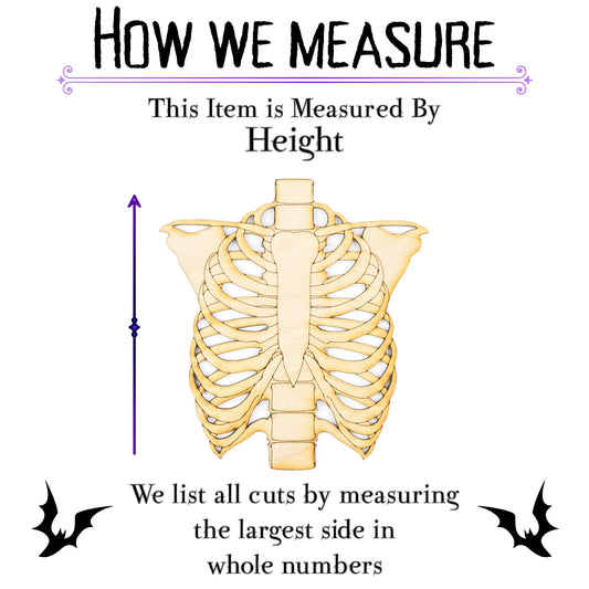 Ribcage Wood Cutout - Laser Cut Unfinished Craft Shape - Multiple Sizes