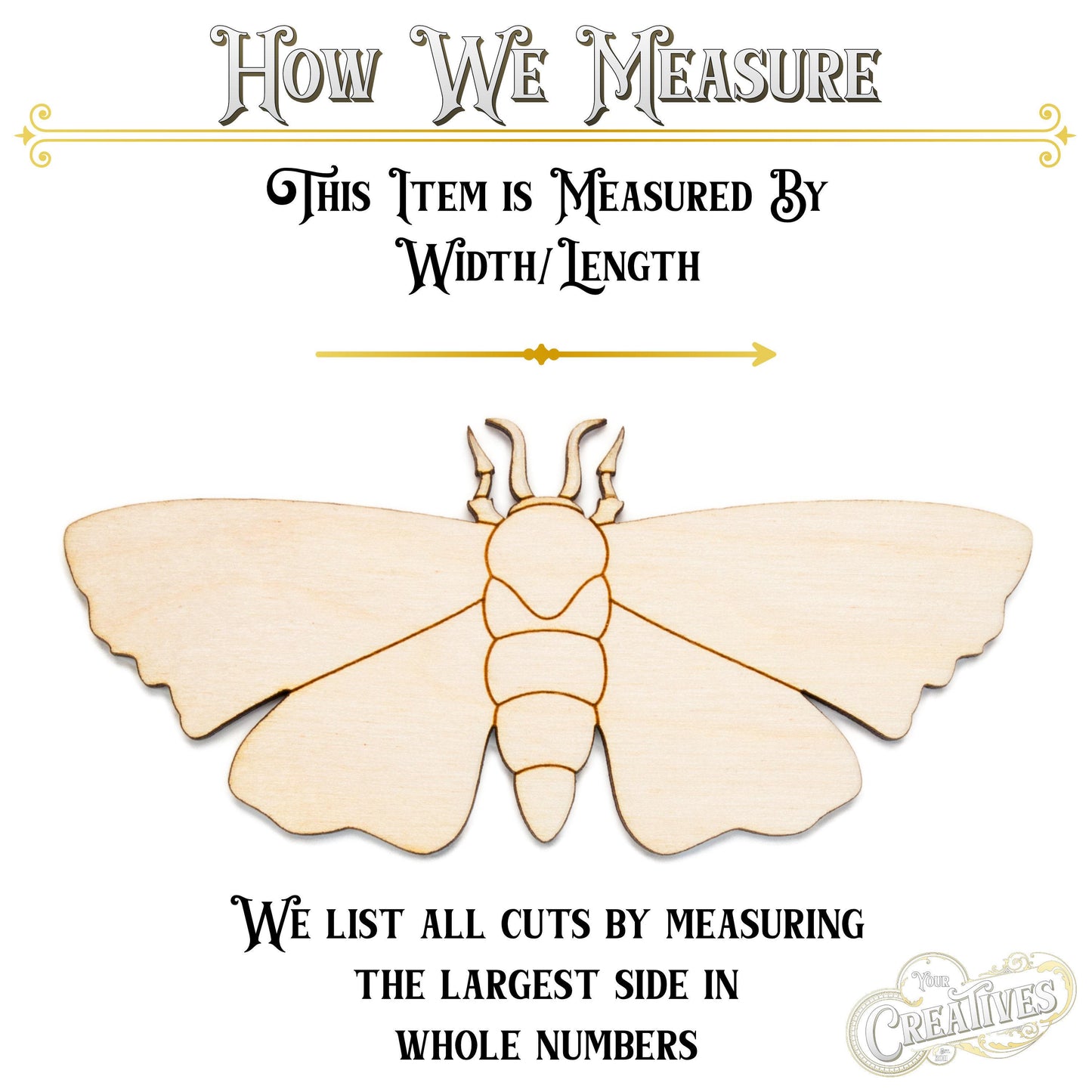 Moth Detailed Wood Cutout - Laser Cut Unfinished Craft Shape - Multiple Sizes