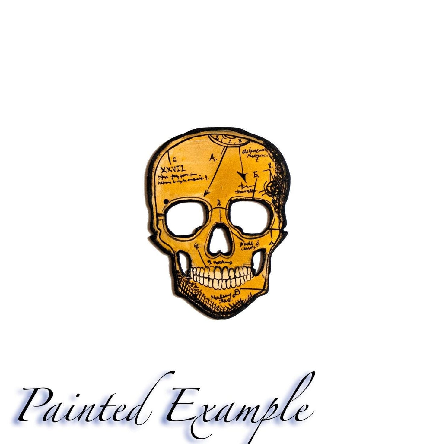 Skull Wood Cutout - Laser Cut Unfinished Craft Shape - Multiple Sizes