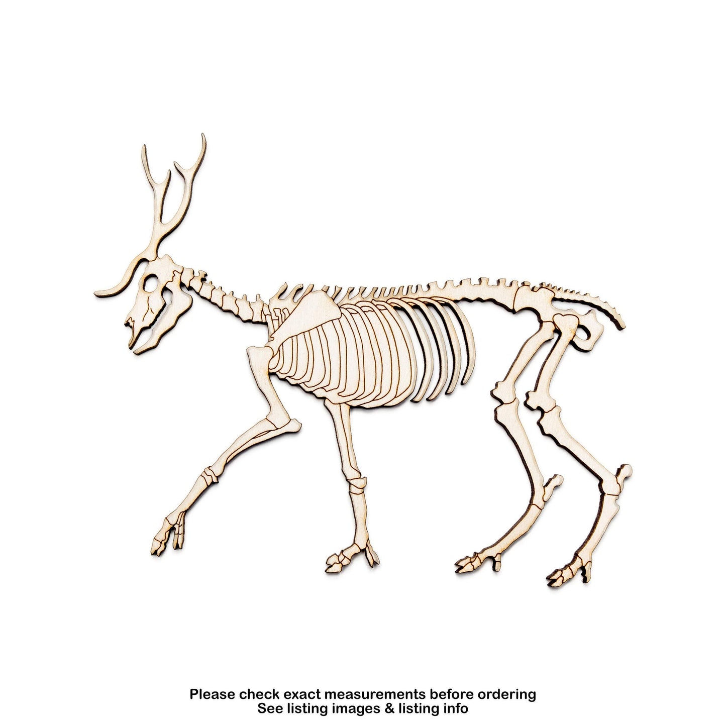 Deer Skeleton Detailed Wood Cutout - Laser Cut Unfinished Craft Shape - Multiple Sizes