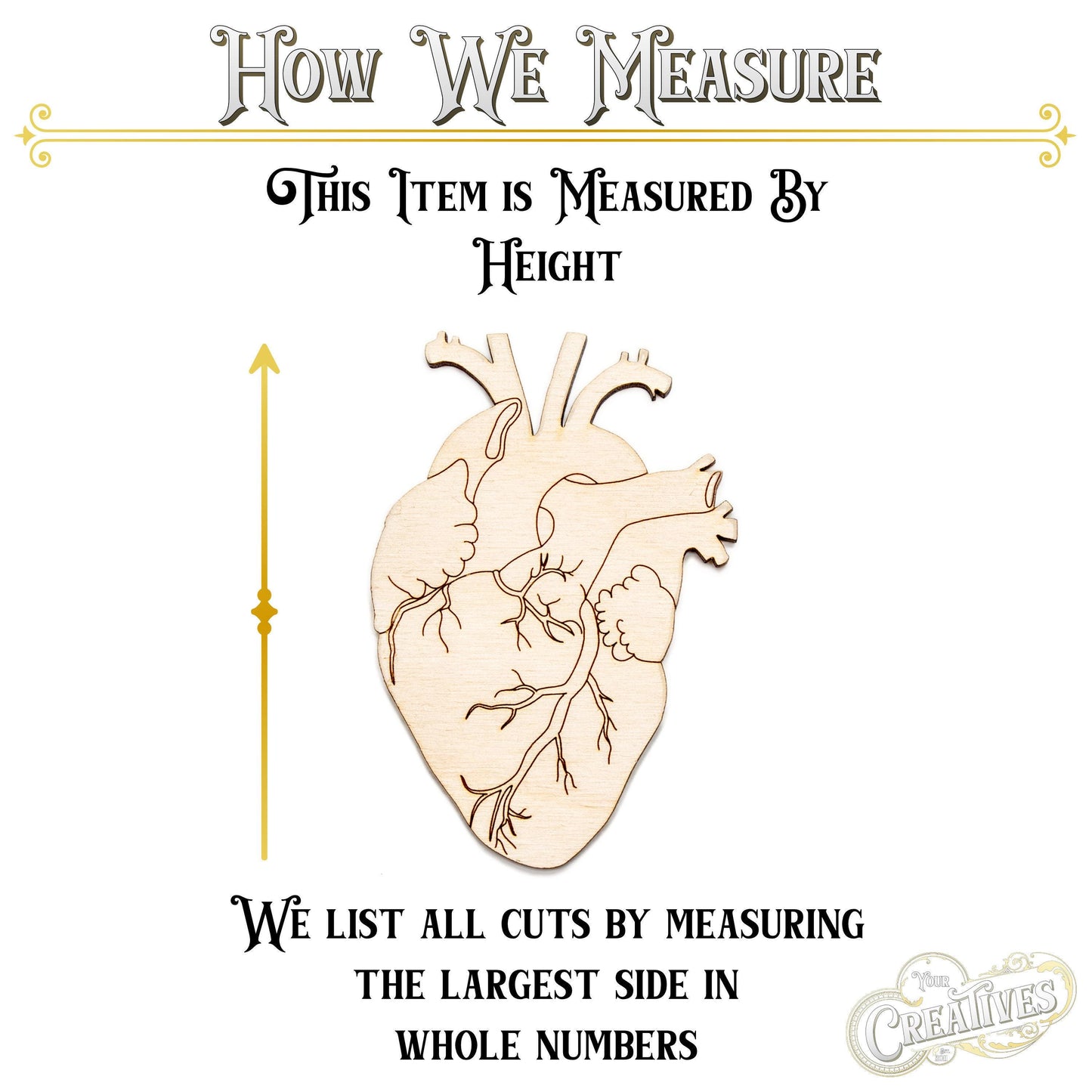 Anatomical Heart Wood Cutout - Laser Cut Unfinished Craft Shape - Multiple Sizes