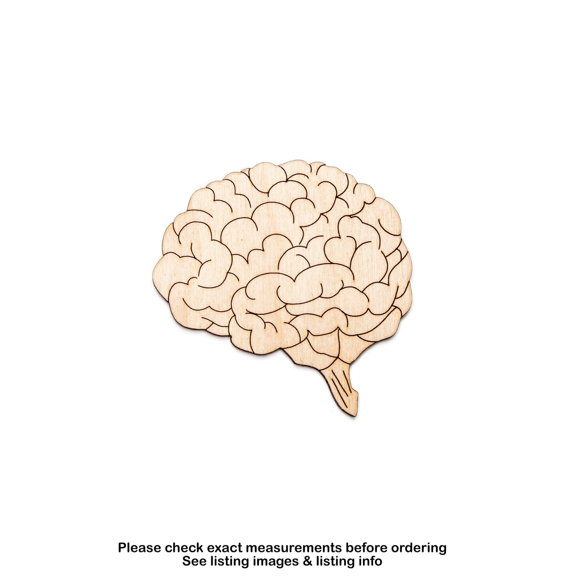 Brain Detailed Wood Cutout - Laser Cut Unfinished Craft Shape - Multiple Sizes