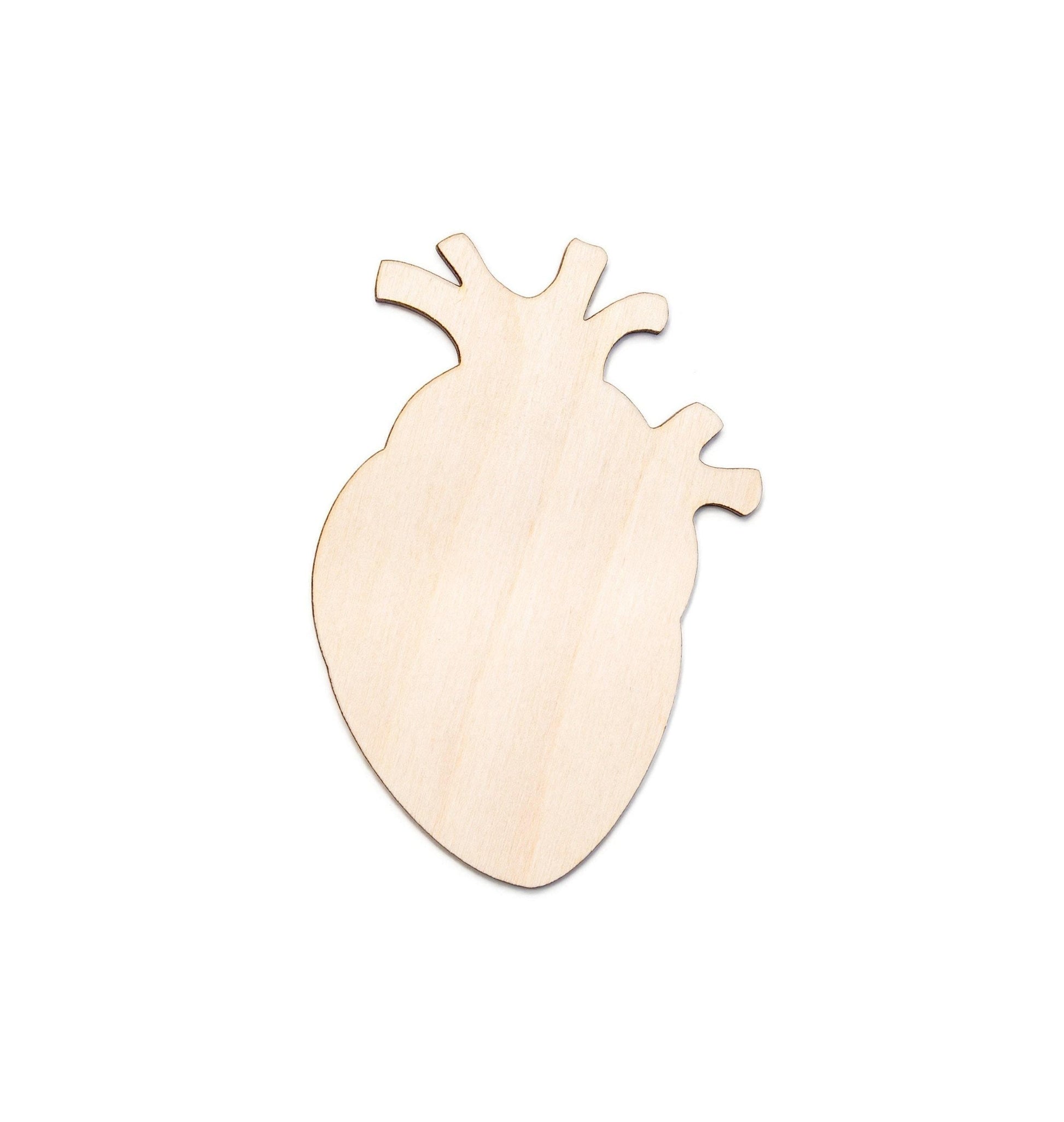 Anatomical Heart Blank Wood Cutout - Laser Cut Unfinished Craft Shape - Multiple Sizes