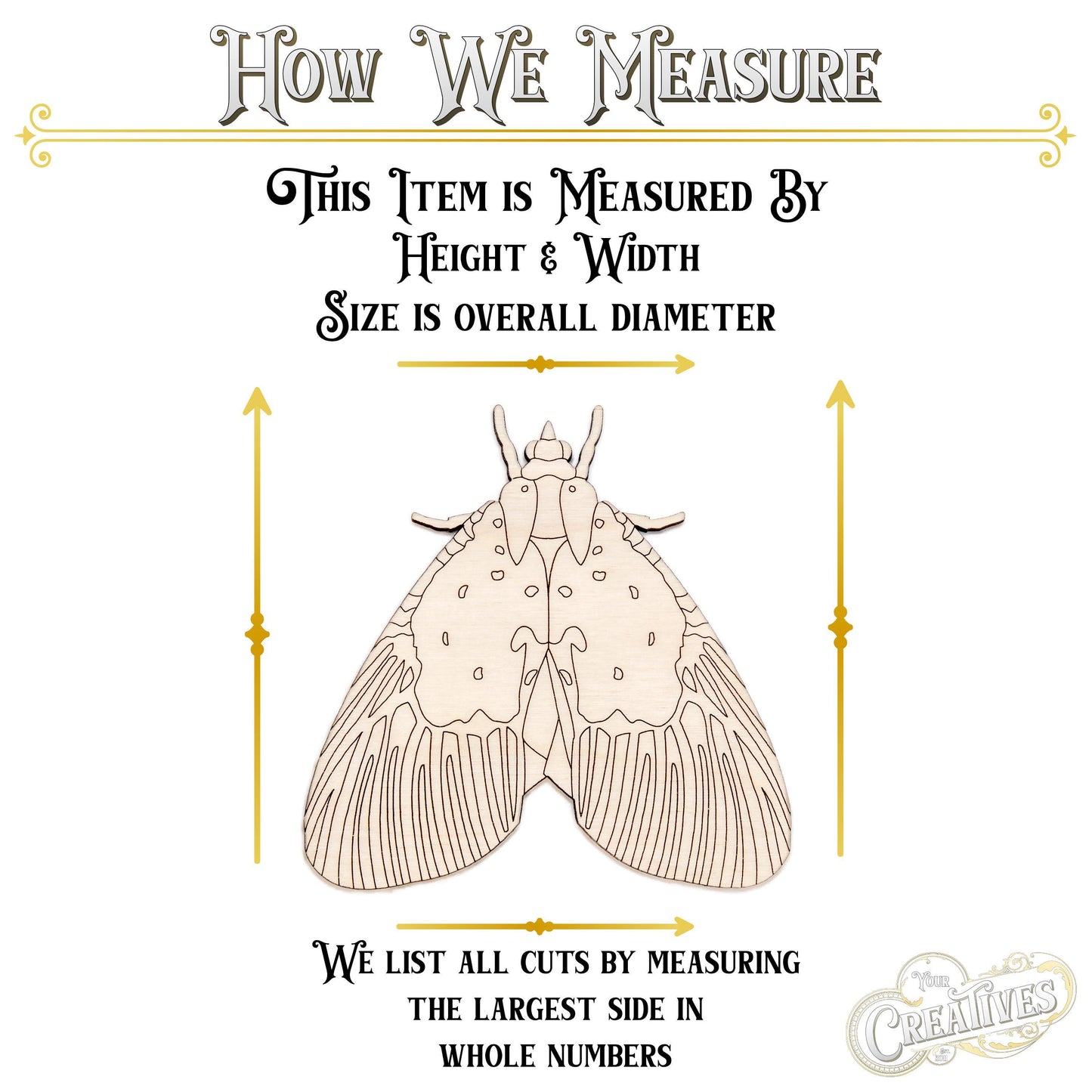 Peridrome Moth Detailed Wood Cutout - Laser Cut Unfinished Craft Shape - Multiple Sizes