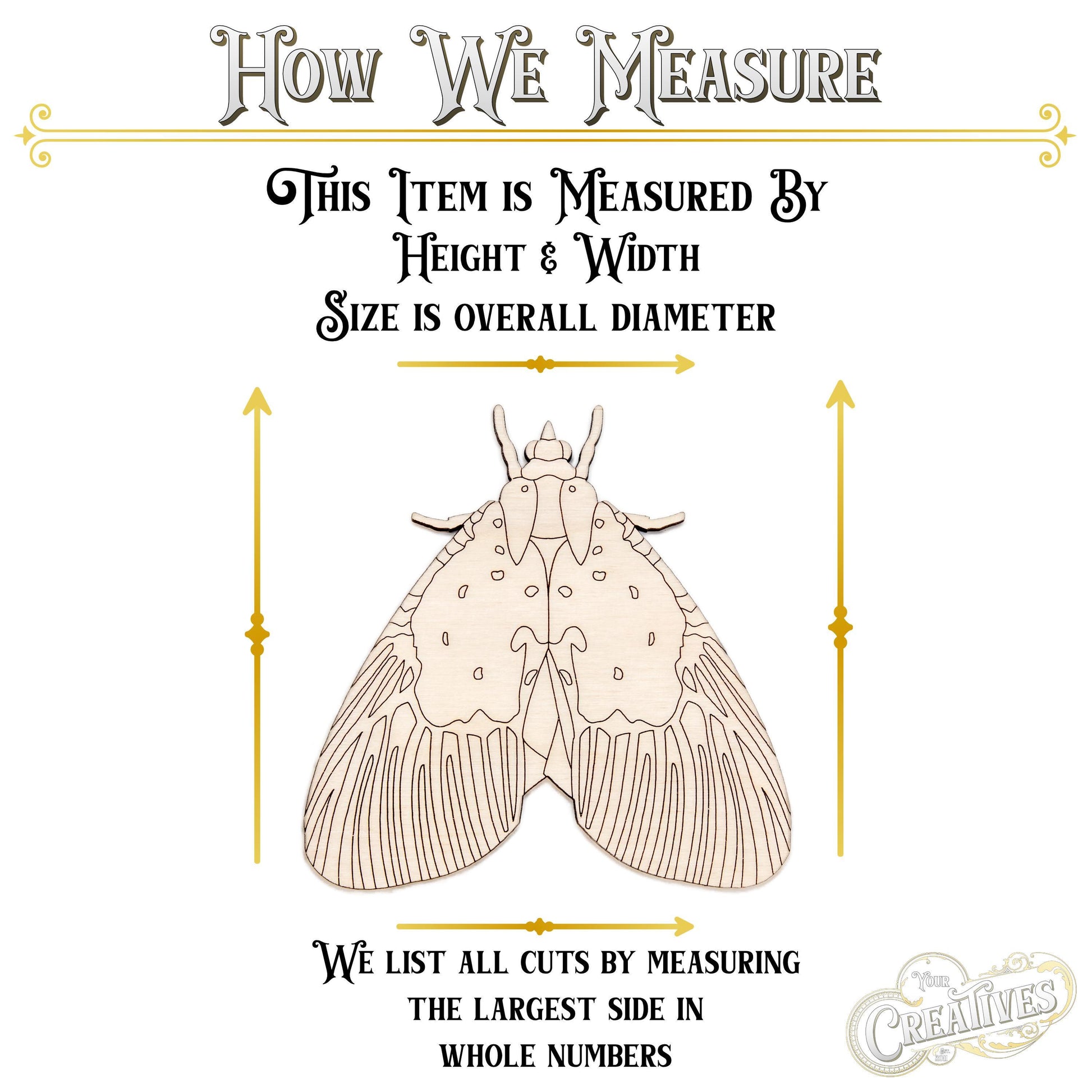 Peridrome Moth Detailed Wood Cutout - Laser Cut Unfinished Craft Shape - Multiple Sizes