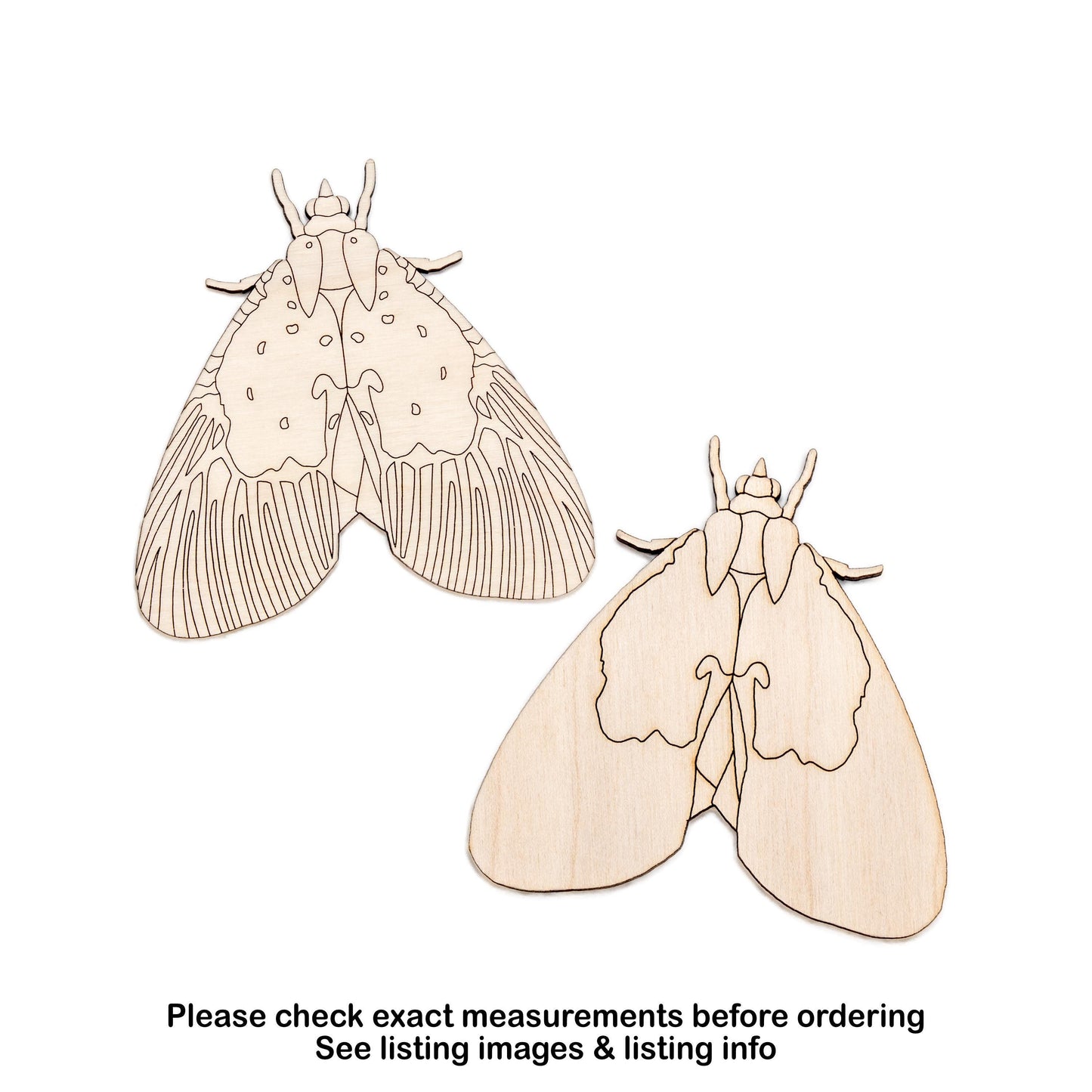 Peridrome Moth Detailed Wood Cutout - Laser Cut Unfinished Craft Shape - Multiple Sizes