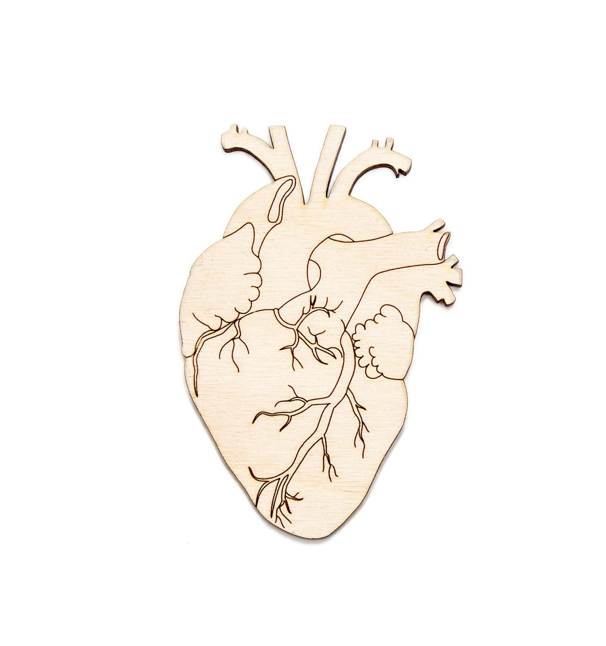 Anatomical Heart Wood Cutout - Laser Cut Unfinished Craft Shape - Multiple Sizes