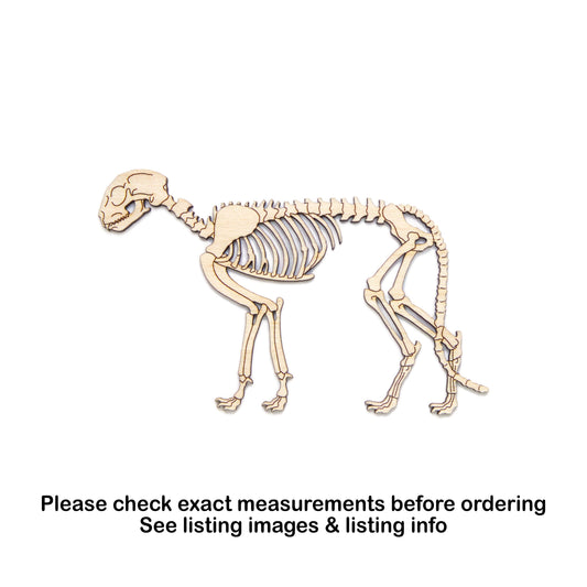 Cat Skeleton Wood Cutout - Laser Cut Unfinished Craft Shape - Multiple Sizes