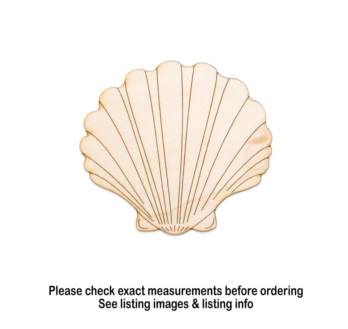 Clam Shell Detailed Wood Cutout - Laser Cut Unfinished Craft Shape - Multiple Sizes