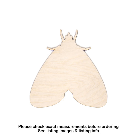 Moth Peridrome Blank Wood Cutout- Laser Cut Unfinished Craft Shape - Multiple Sizes