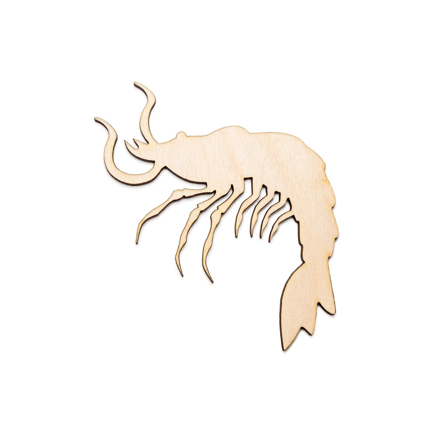 Shrimp-Blank Wood Cutout-Sea Creatures Wood Decor-Shrimp Theme Decor-Various Sizes-Ocean Theme Crafts-DIY-Beach Wood Decor-Wood Crustaceans
