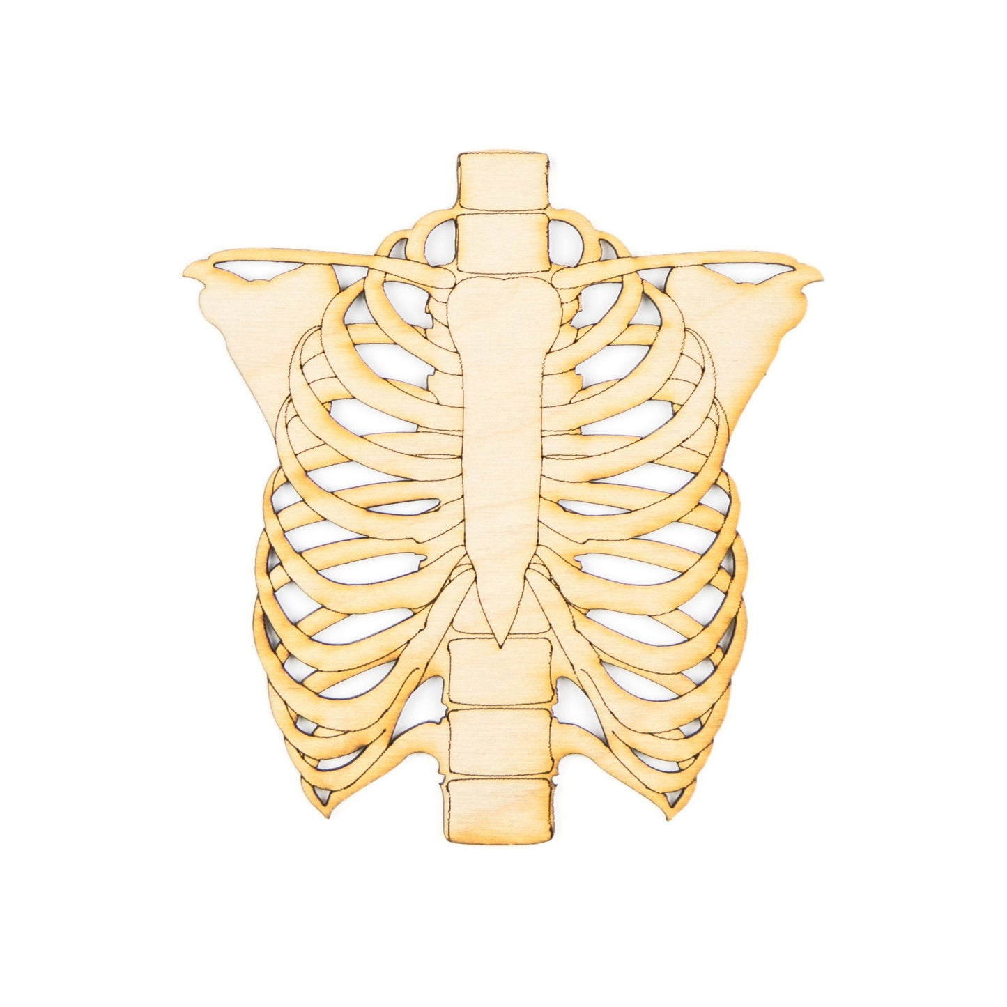 Ribcage Detailed Wood Cutout - Ideal for Anatomical, Gothic, or Halloween Décor